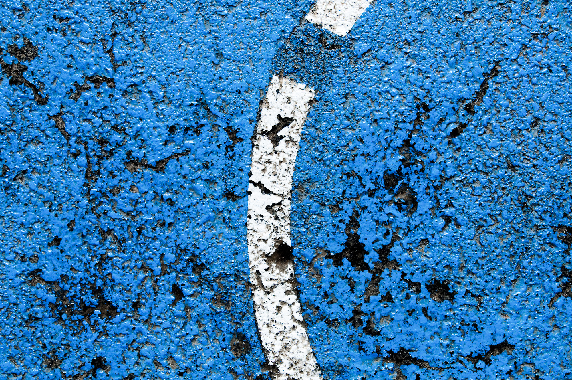 DSC 6459